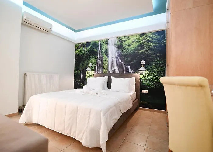 The Whole Packet β3 Center With Parking